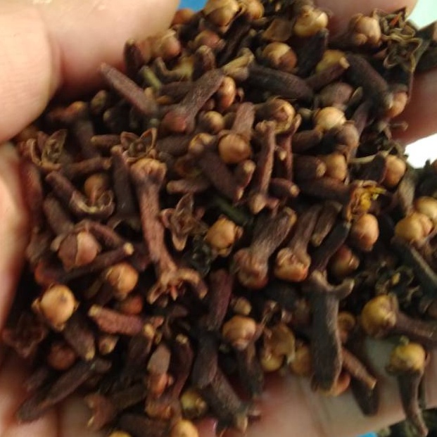 

PRODUK QCPP Cengkeh utuh 1gr untuk bumbu masak QP