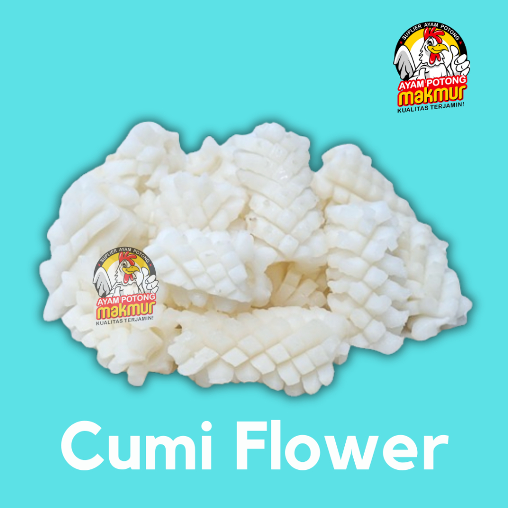 

Cumi Flower Squid