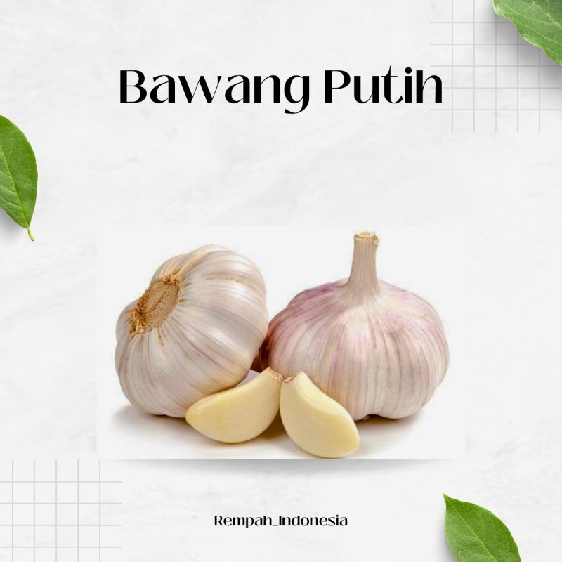 

Bawang Putih Sortir Terbaik Fresh