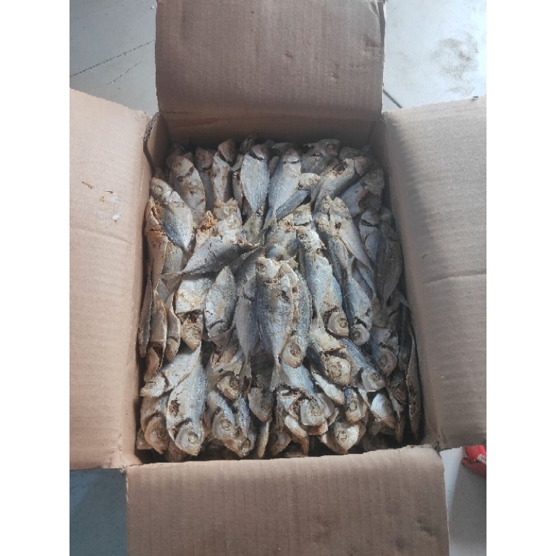 

GROSIR IKAN ASIN SELAR REBUS KEMASAN 10KG