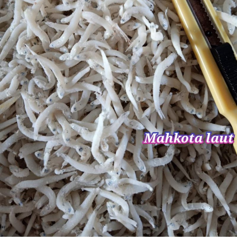 

Ikan Teri Medan Toge - 100 Gram