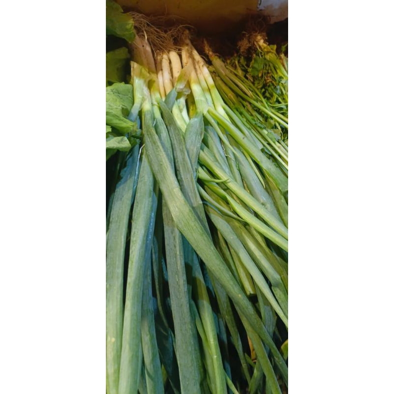 

Daun bawang fresh 250gram