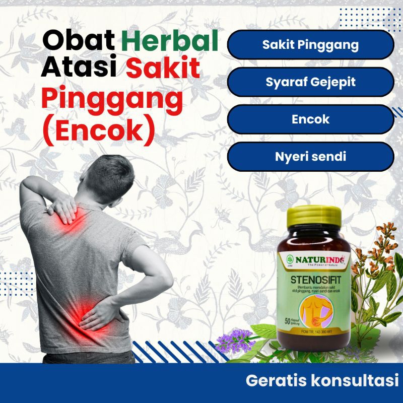 obat sakit pinggang belakang paling ampuh obat sakit pinggang  dan nyeri pinggang encok sarap kejepi