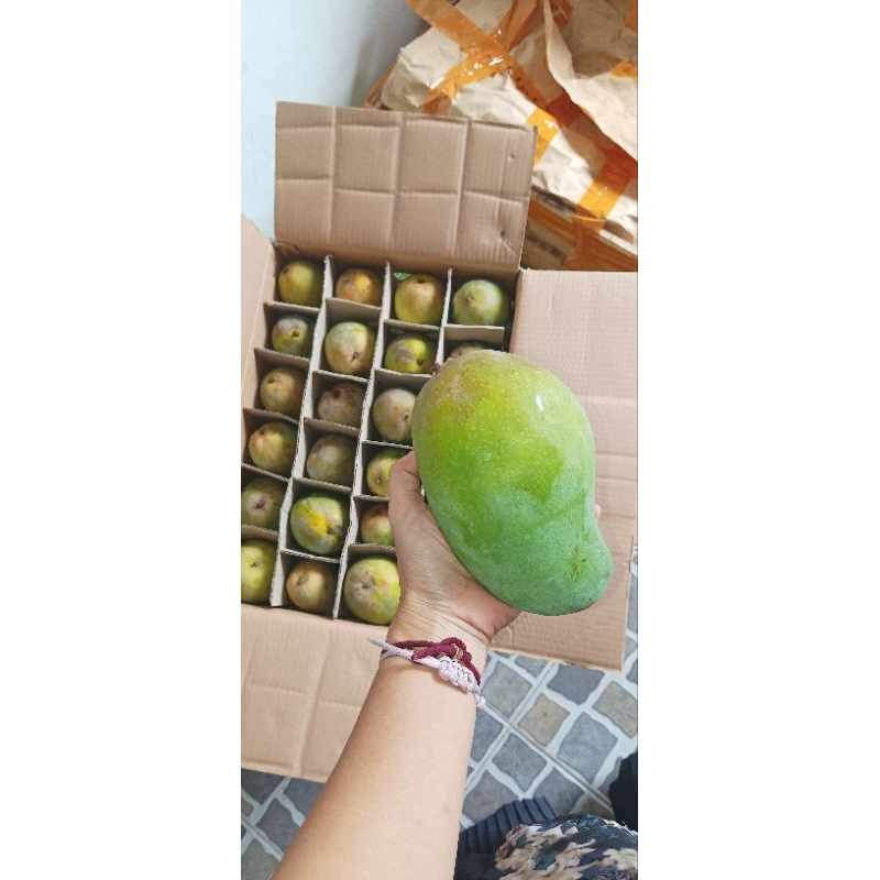 

mangga alpukat harga per kilo (beli 3kg lebih murah)