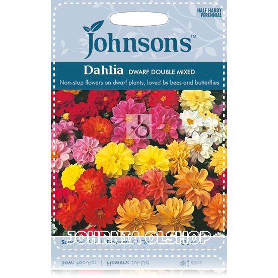 Johrnia 3 Benih Biji Bunga DAHLIA Dwarf Double Mixed