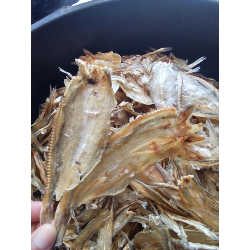 

ikan kering jenggelek/ikan jambrong isi (15 biji) khas gili ketapang