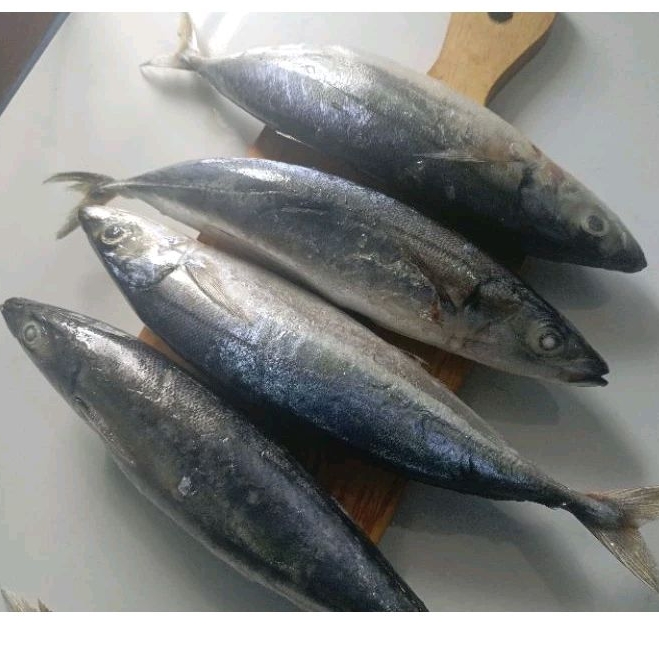 

Ikan Layang Jumbo 3-5 Ekor/kg PAKET 10 Kg Dijamin Harga Termurah Kualitas Ga murahan - Pal Merah