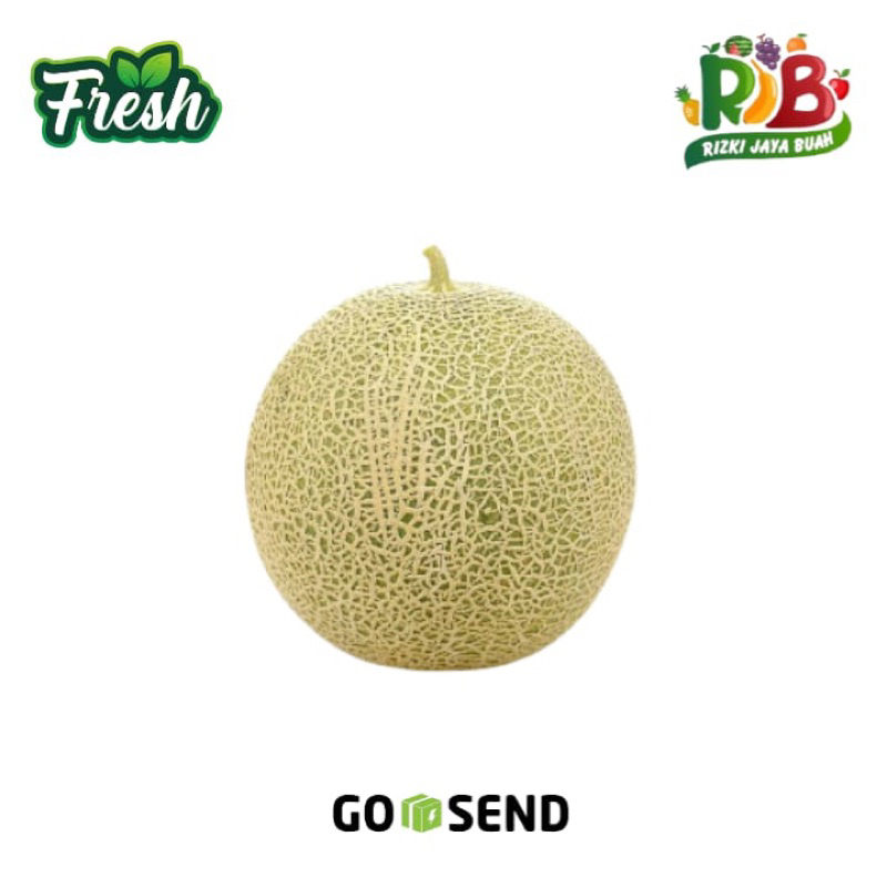 

MELON 1pcs