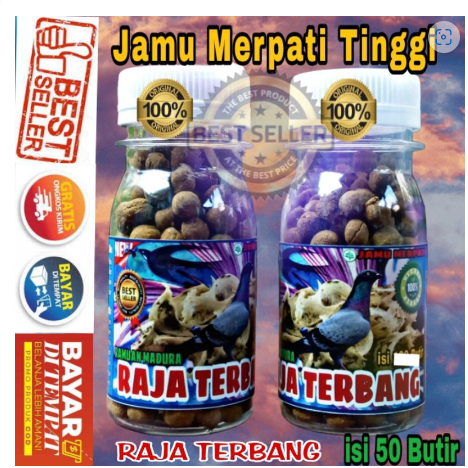 50 Butir Pil SARANG WALET RAJA TERBANG / jamu merpati Tinggi Pukul Manuver / Doping super giring kek