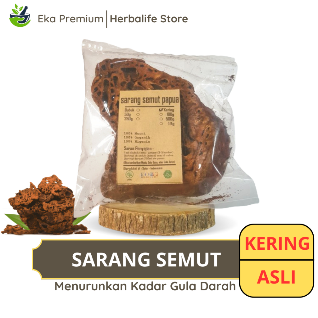 

SARANG SEMUT PAPUA KERING Ramuan Rempah Herbal Asli Jamu Minuman Alami Murni Tradisional Simplisia Myrmecodia