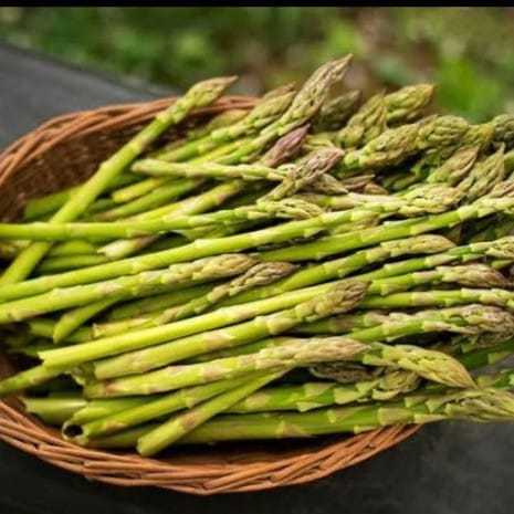 

Asparagus, asparagus fresh, asparagus segar