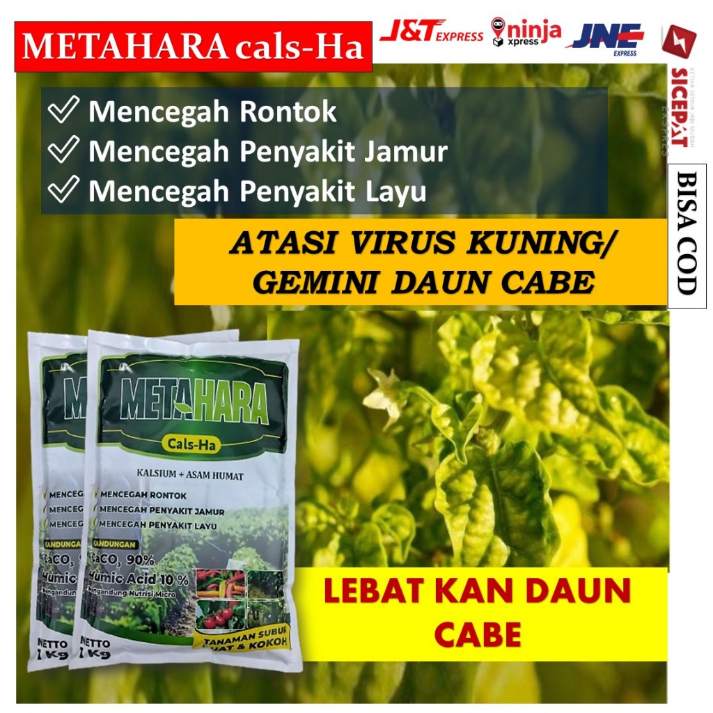 1 kg  METAHARA Pupuk penyakit kuning daun cabe - Pupuk kalsium serbuk untuk cabe  - obat pelebat cab
