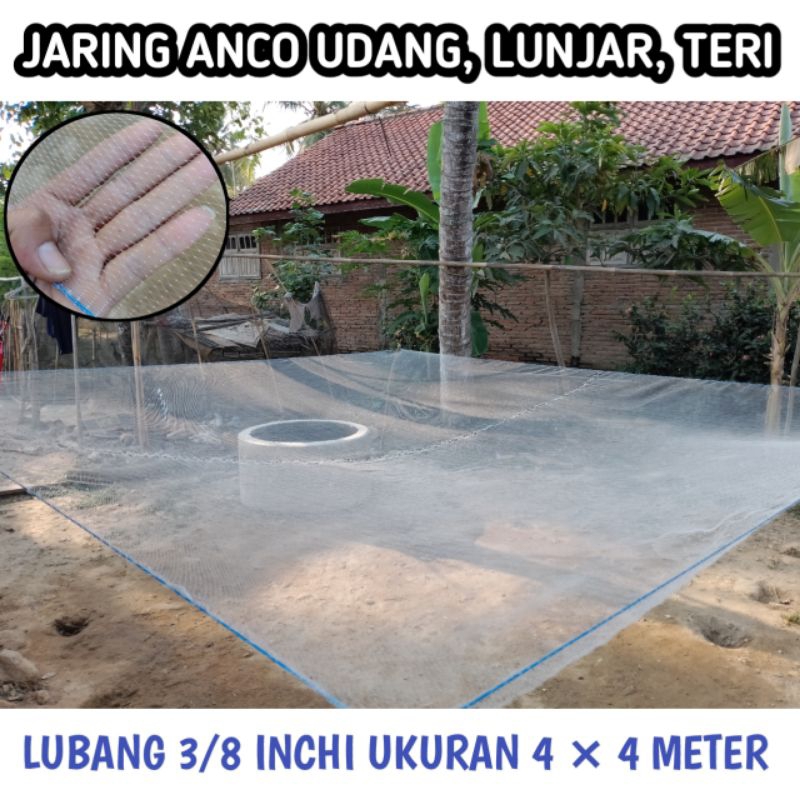 Jaring anco udang lunjar teri ukuran 4×4 meter jaring perangkap ikan
