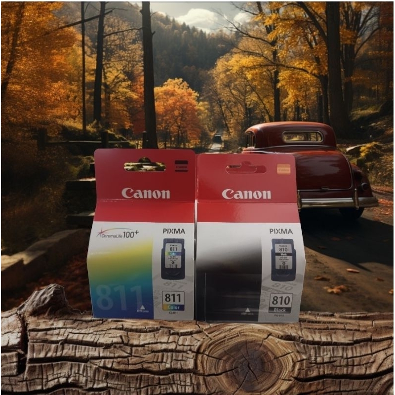 Tinta canon 810 dan 811 original