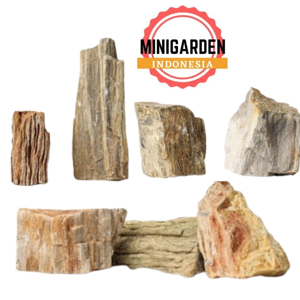 BATU FOSIL KAYU AQUASCAPE ZAK 10KG batu taman batu aquarium paludarium