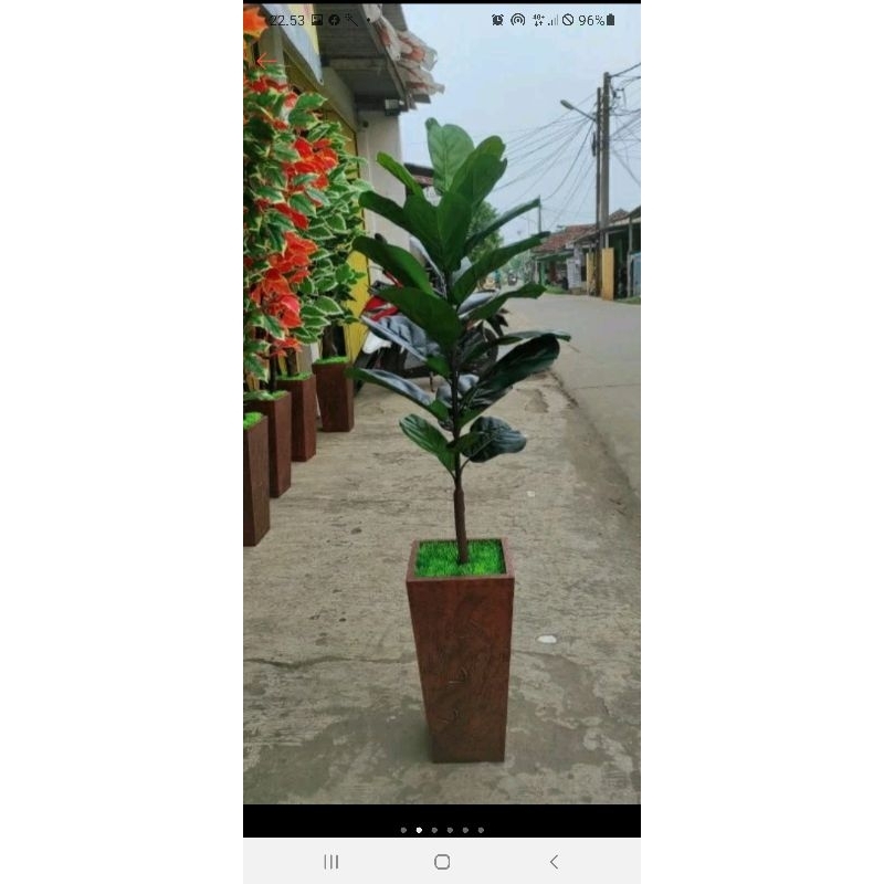 POHON KETAPANG BIOLA/POHON HIAS KETAPANG/BUNGA PLASTIK/POHON PLASTIK/BUNGA HIASAN