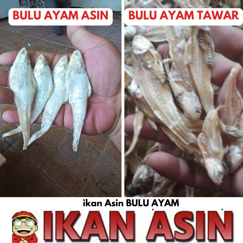 

Ikan Asin BULU AYAM 1 kg cap TOKE BAGAN SIAPI API