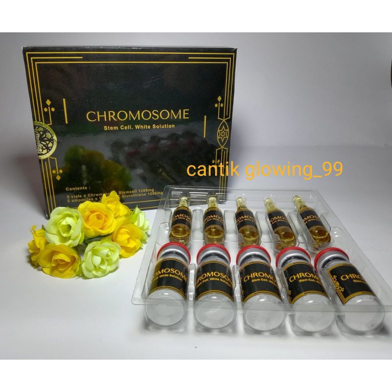 ready stem cell