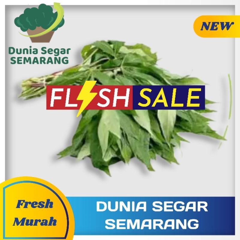 

Sayur Daun Pohong Segar 1ikat termurah