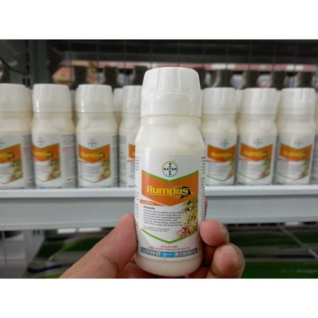 Herbisida selektif Padi Rumpas 120 EW untuk gulma teki
