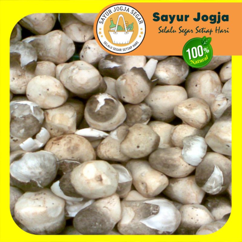 

Jamur merang per [250gr]