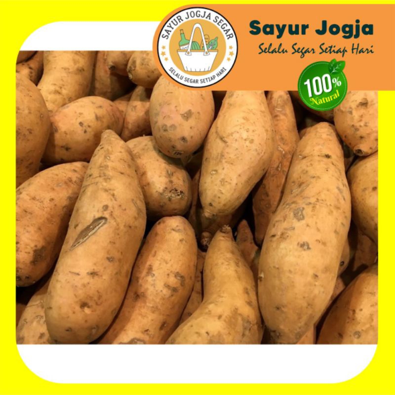 

UBI JALAR per kg - Sayur Jogja