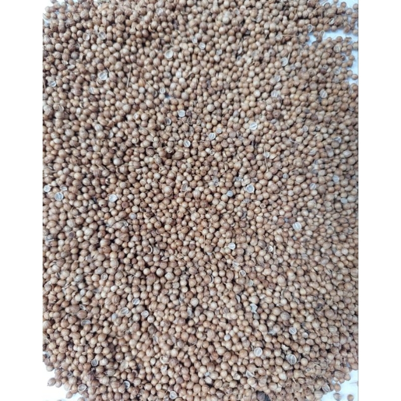 

Biji Ketumbar Hitam Herbal Asli Alami