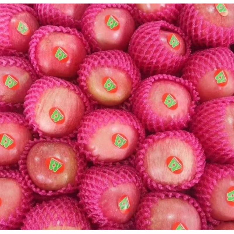 

Apel Fuji Premium 1kg
