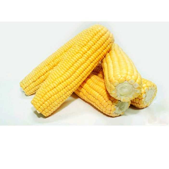 

jagujg manis kupas segar