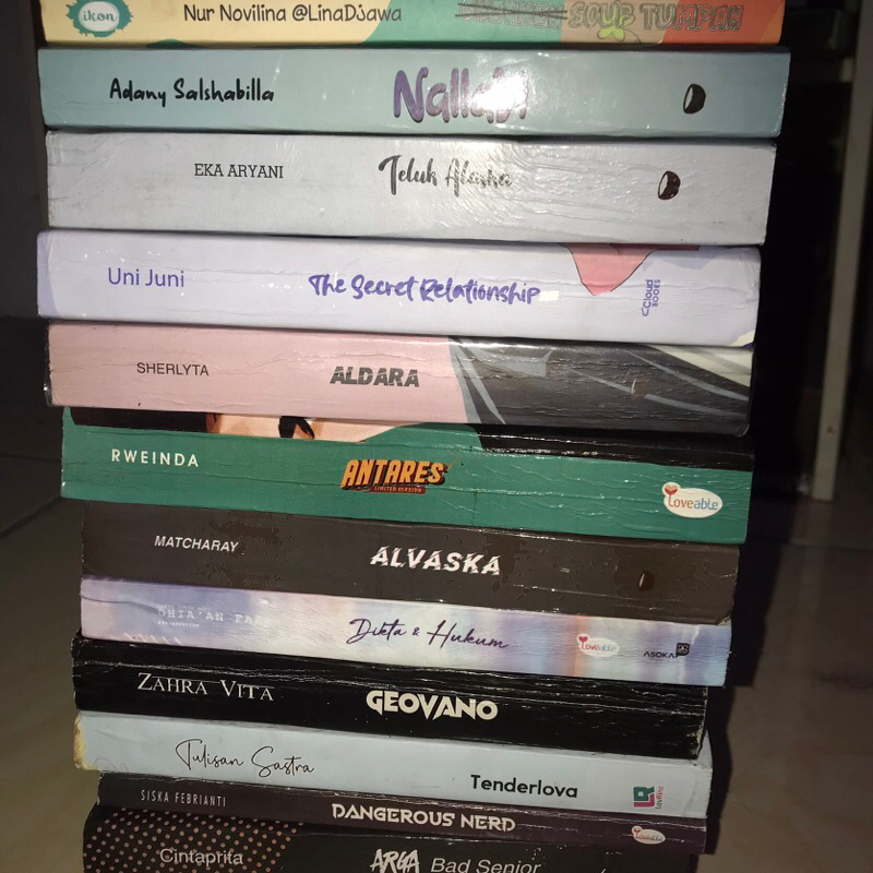 novel preloved (baca deskripsi sebelum order pls)