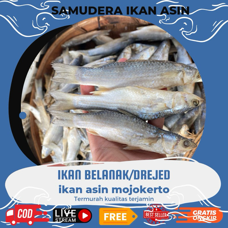 

Ikan Gereh drejed 250gr /Gerih/Drejed/Belanak/ qodo Kering Murah & Kualitas Terbaik