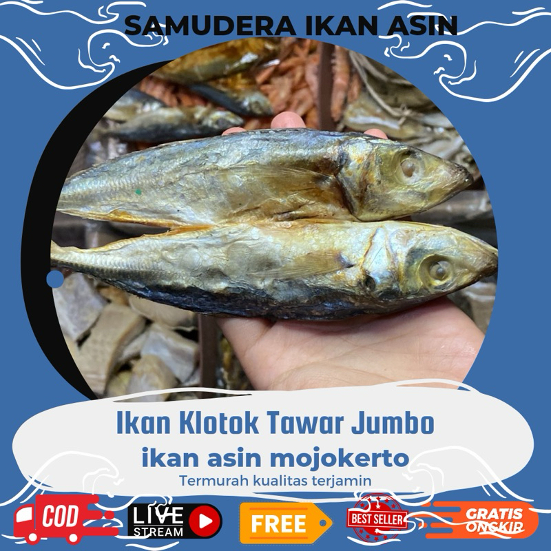 

(250gr) Ikan Klotok Tawar Kering Besar sedikit asin Murah & Kualitas Terbaik