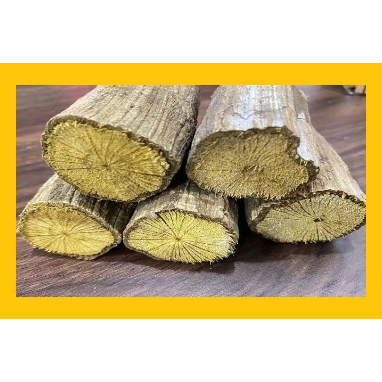 

Prm Akar Kayu Bajakan 224