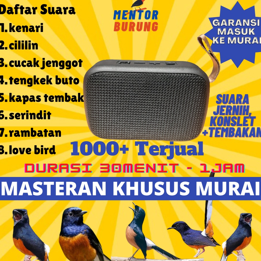 Best Prduct Masteran Mp3 Khusus Burung Murai Batu Air Betina Pikatan Borneo Hutan Trotolan Burung Kicau Suara Jernih Dengan Suara Air Speaker Burung Murai Gacor Murah Berkualitas 24