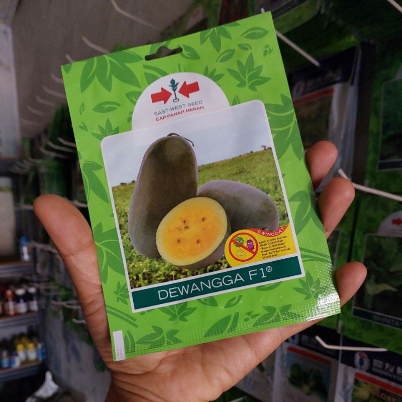 benih semangka madu dewangga isi 40 biji