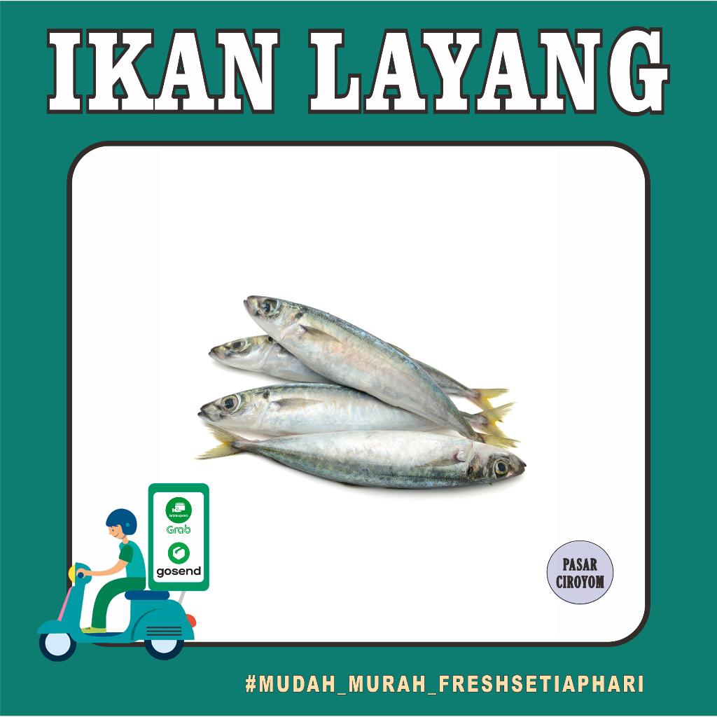 

IKAN SALEM / IKAN LAYANG FRESH MURAH BANDUNG / SEAFOOD