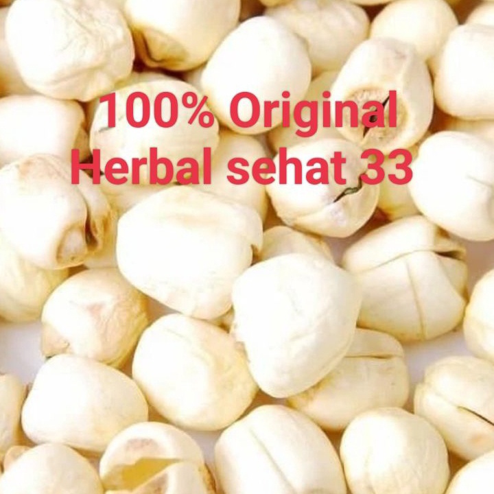 

biji teratai lotus seed Lian zi 1gr