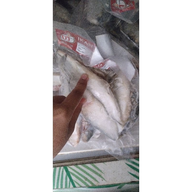 

ikan kembung 1kg frozen kjp