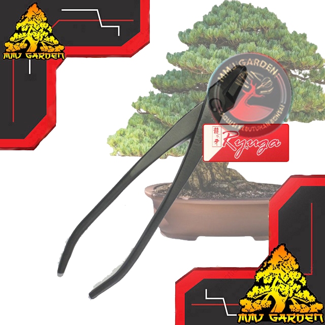 MMJ GARDEN-ALAT BONSAI Tang Bonsai RYUGA RC-05 RC 05