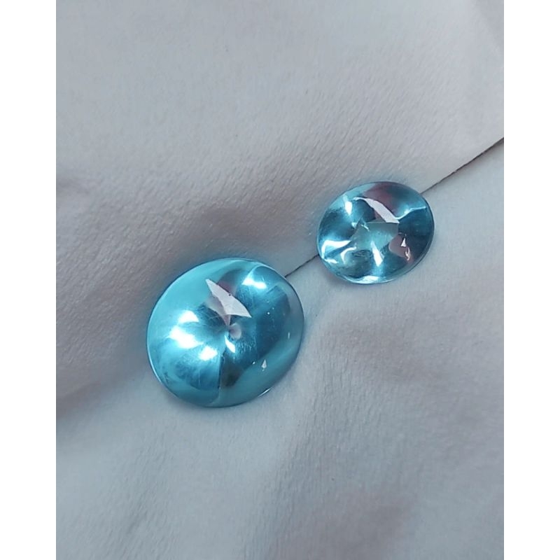 KECUBUNG BIRU LAUT KECUBUNG BIRLA ASLI BORNEO KALIMANTAN