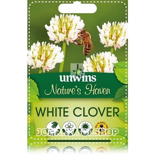 Johrnia 3 Benih Biji Bunga WHITE CLOVER