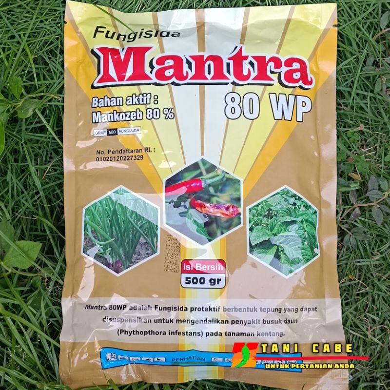 FUNGISIDA MANTRA MANCOZEB KUNING 500 GRAM