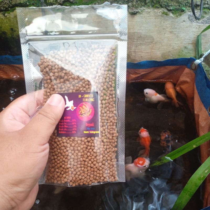 pakan ikan koki GROWTH (floating