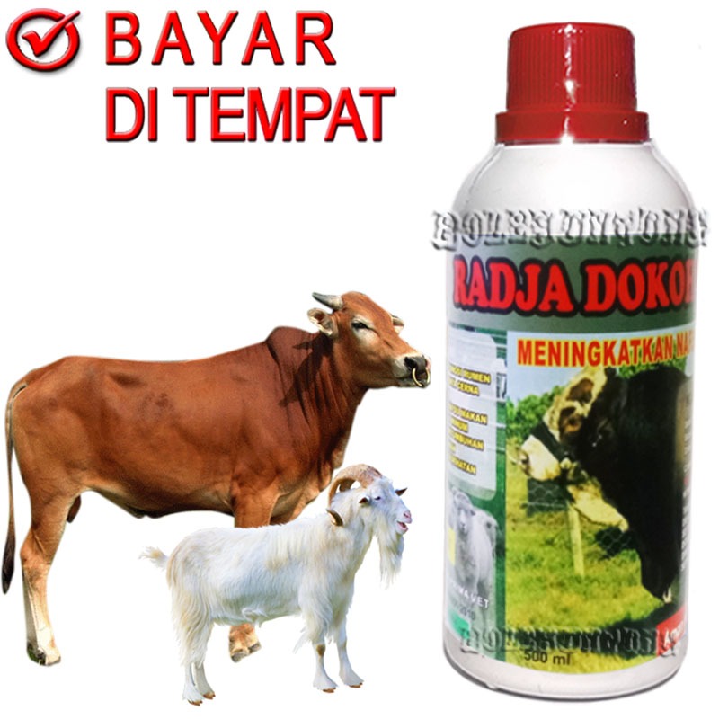 RAJA DOKOH Vitamin Sapi Kambing Penggemuk Probiotik Ruminansia