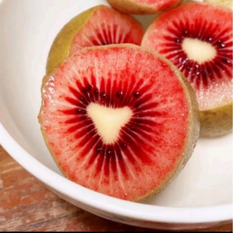 Bibit Tanaman Buah Kiwi Merah / Red Kiwi / Gosberry