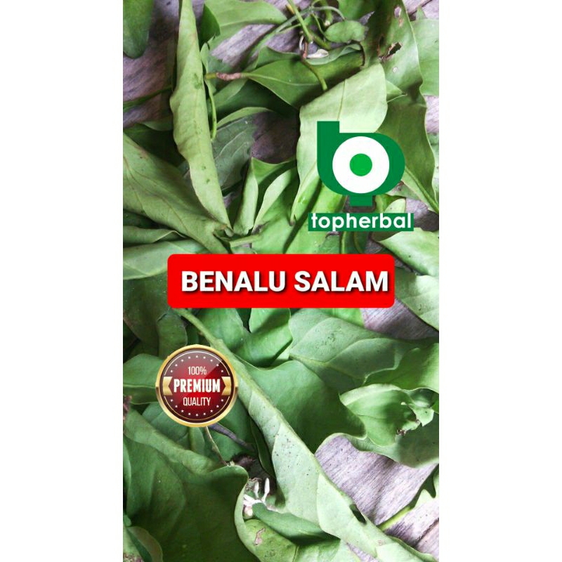 

Benalu Salam Kering 250 Gram