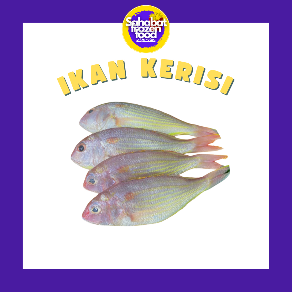 

Ikan Kerisi / Kerisi Segar
