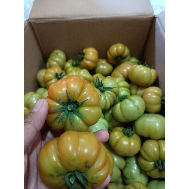 

Tomat RANTI berat 500 gram