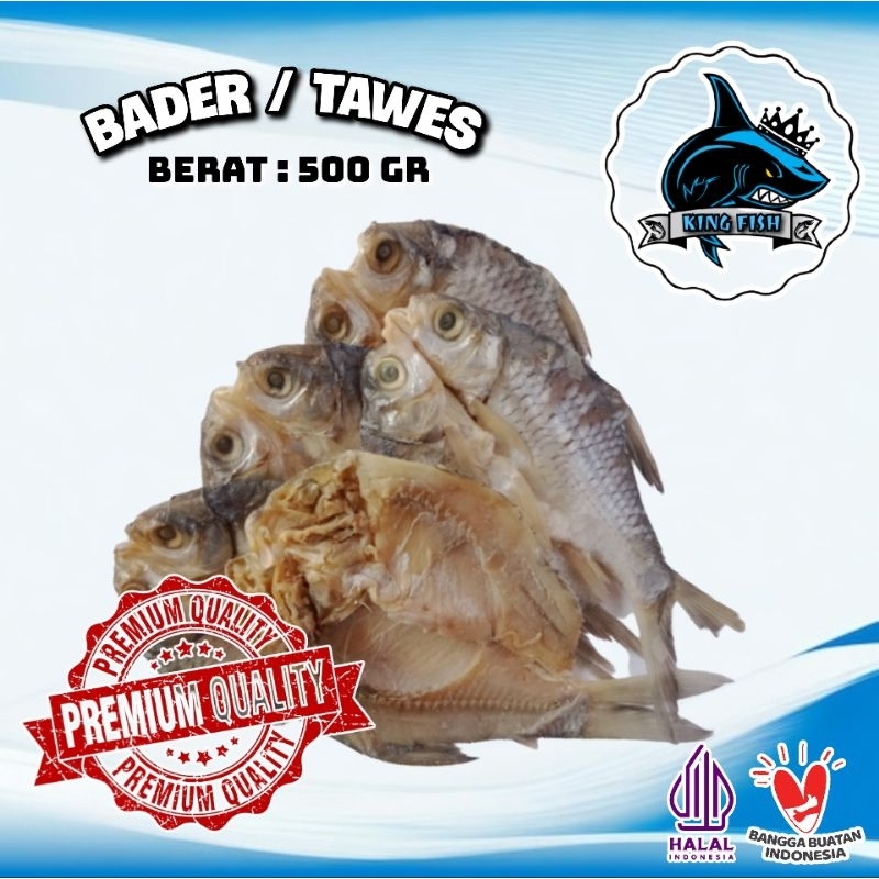 

500GR IKAN ASIN BADER/TAWES MURAH BERKUALITAS