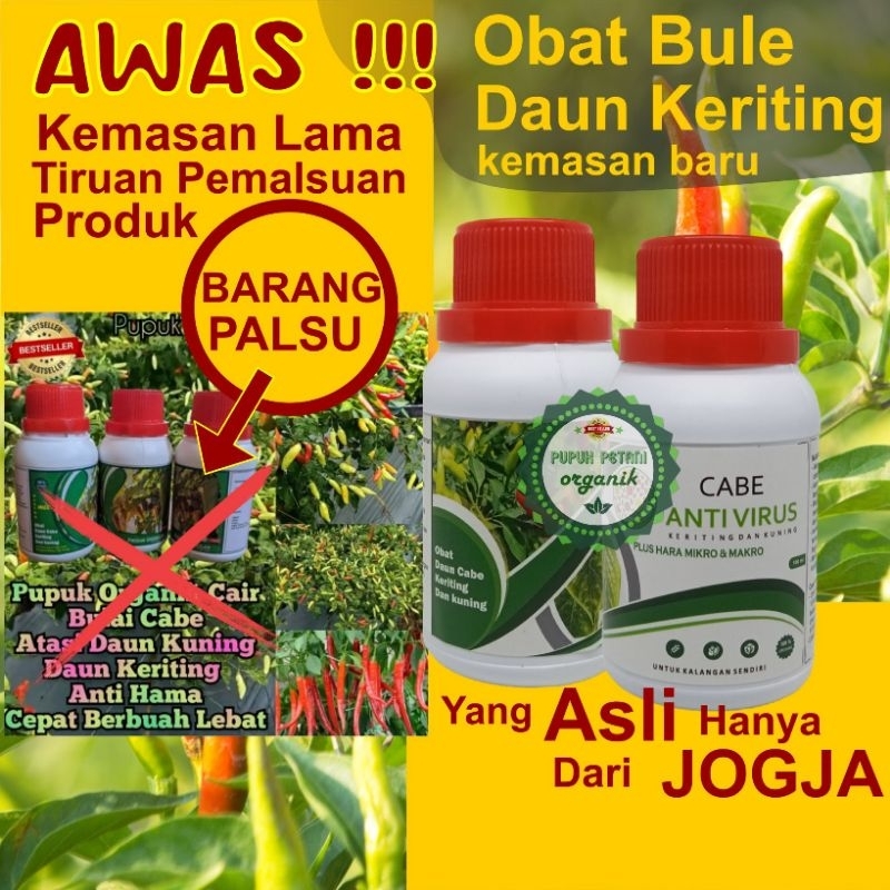 Pupuk Bulai Cabe Organik Atasi Kuning Daun dan Keriting Cebe Pupuk Pelebat Buah Cabe Rawit Penyubur 
